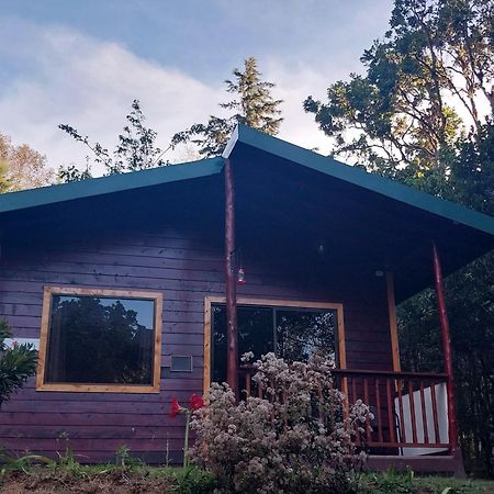 Curuba Lodge Copey Buitenkant foto